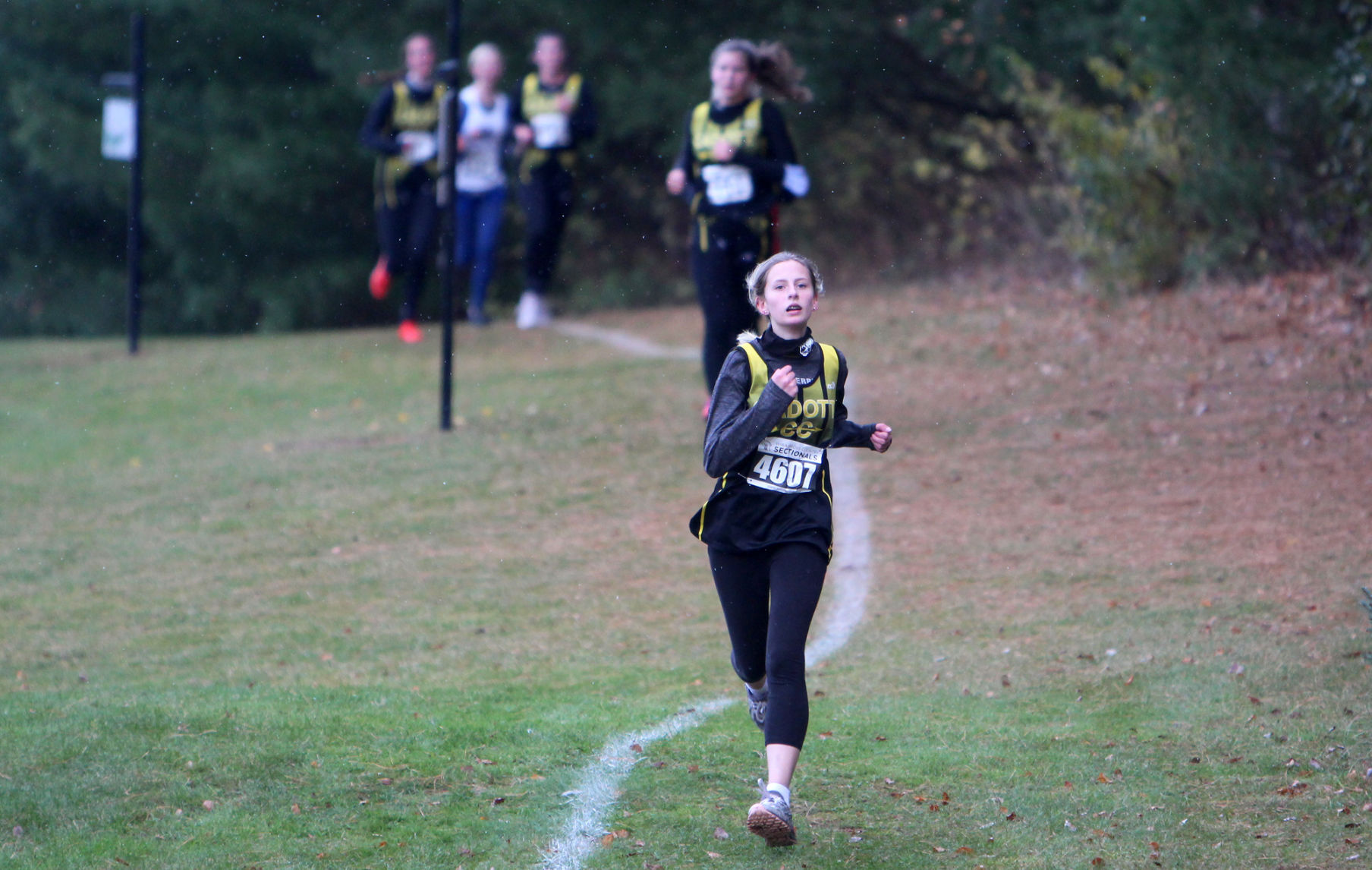 Division 3 Cross Country Sub-Sectional at Colfax 10-19-20
